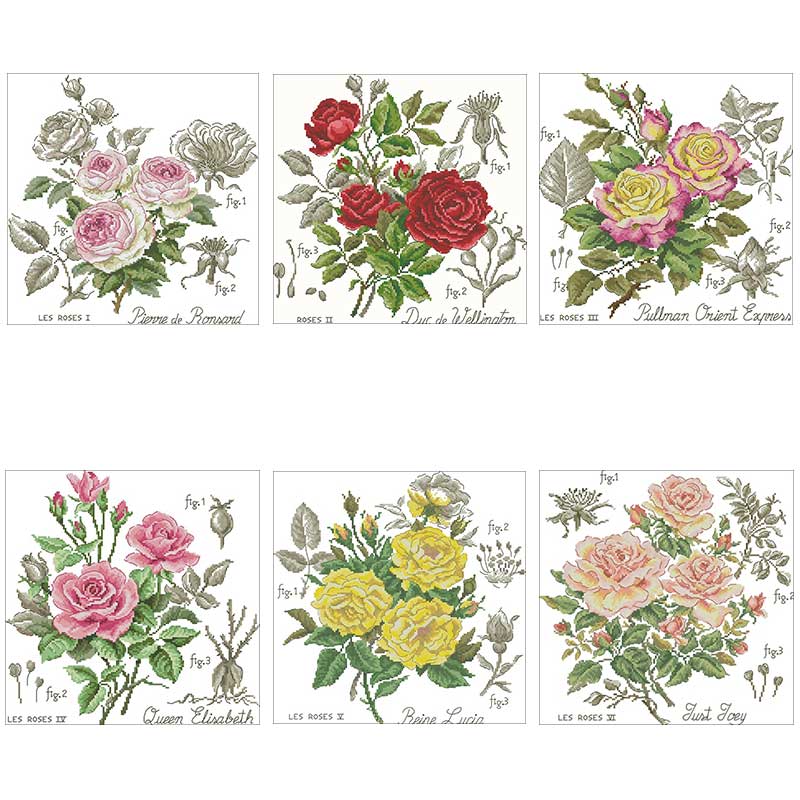 Patrones de rosa de sombra con - Embroidery Rose Stitch reseña y precio